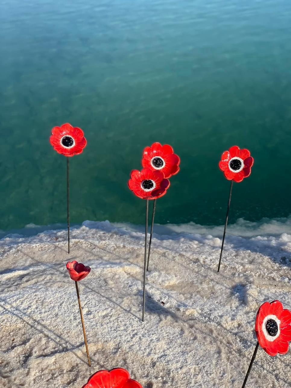 WhatsApp Image 2024-02-25 at 12.37.41