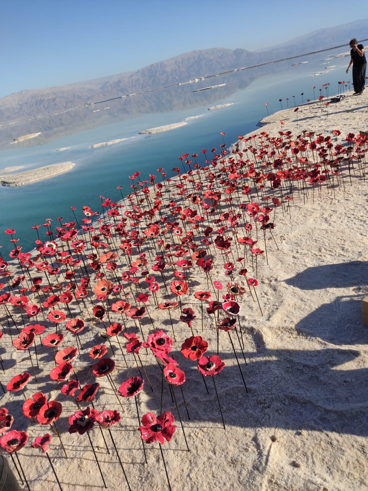 WhatsApp Image 2024-02-25 at 12.37.42