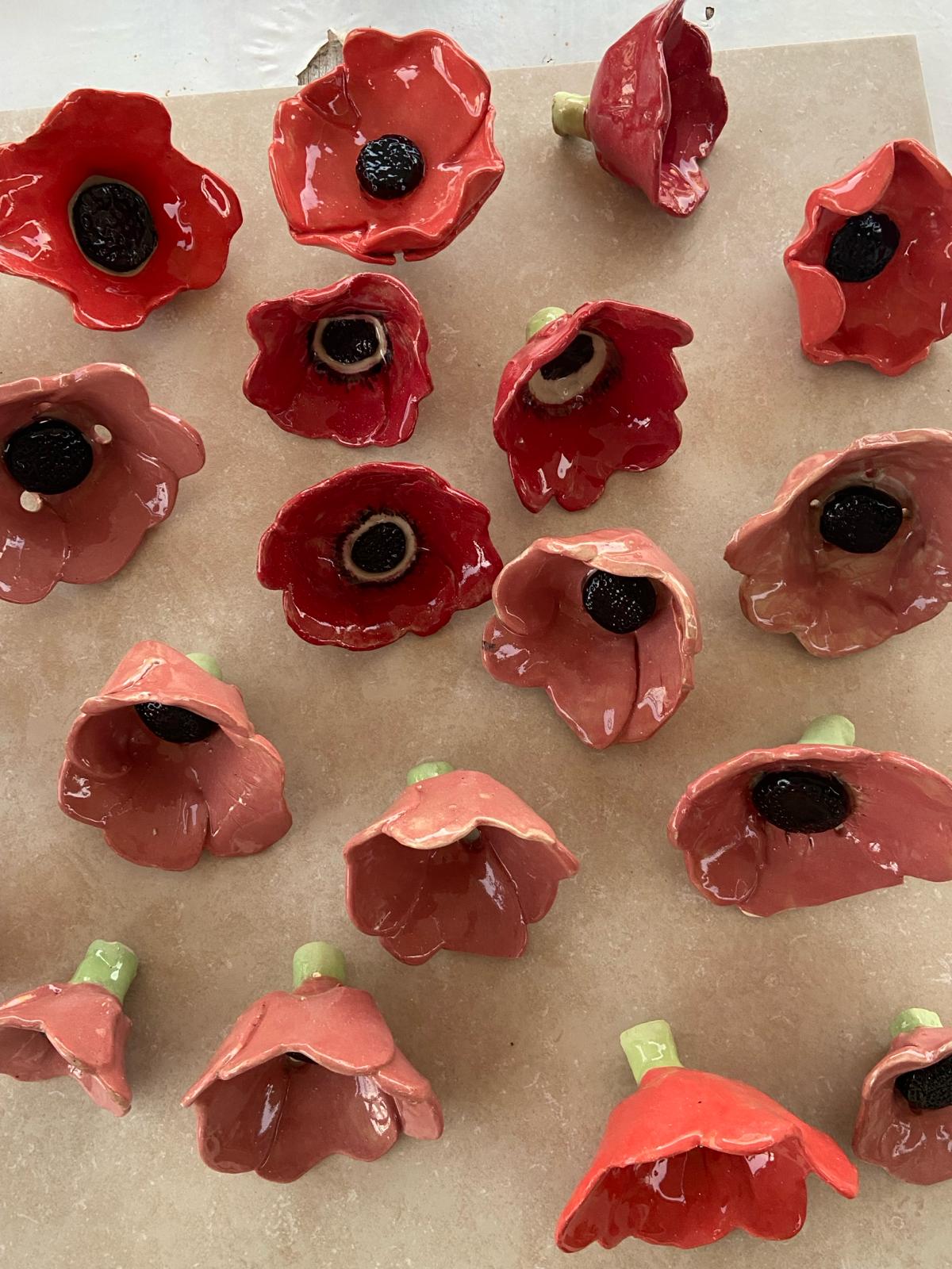 WhatsApp Image 2024-02-25 at 12.37.43